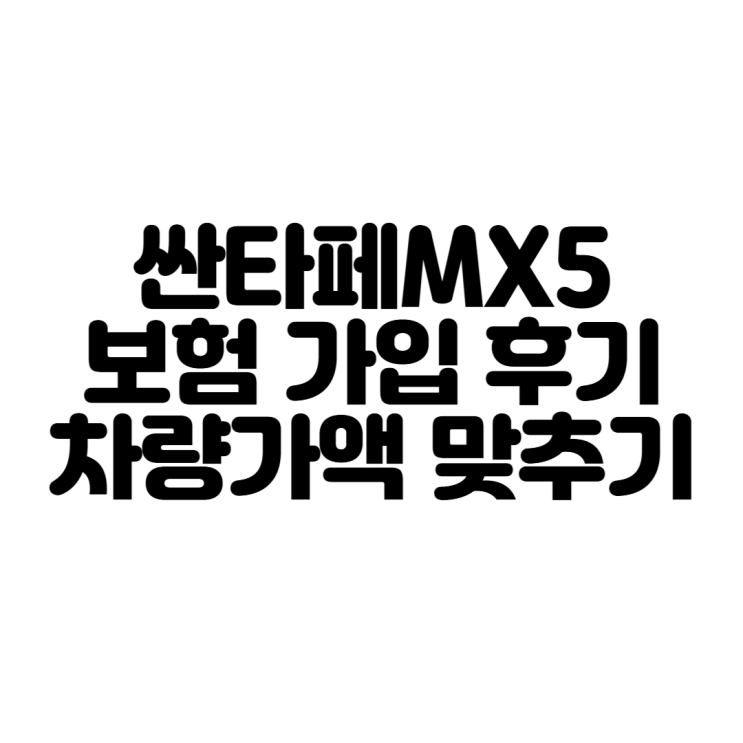  싼타페 MX5 캘리그래피 블블잉 삼성화재 보험 가입 후기 차량 가액 안 맞을 땐 어떻게