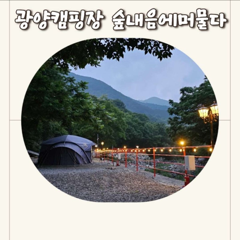 사진 2