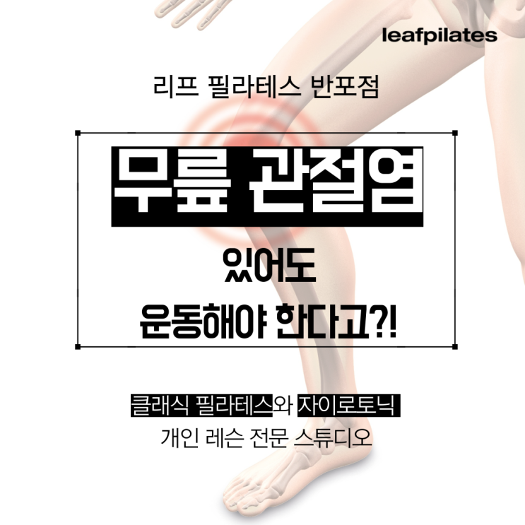  [반포 필라테스] 무릎 관절염에도 운동은 필수입니다/ 반포필라테스 리프