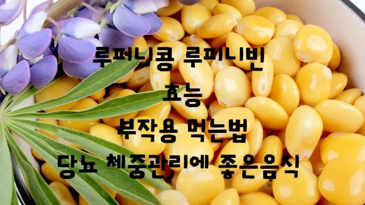  루피니빈 루핀콩 당뇨콩 효능 부작용 맛있게 먹는법