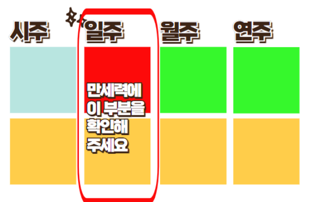  병신일주 병화 일간