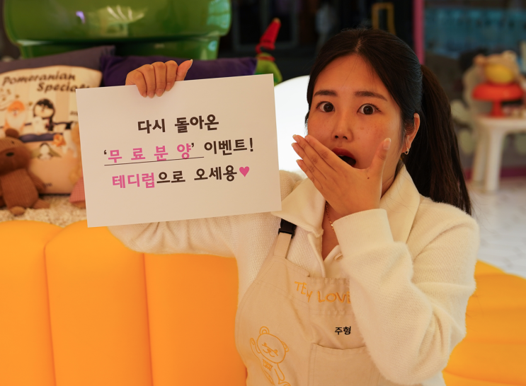  김포강아지무료분양 테디럽에서 진행중