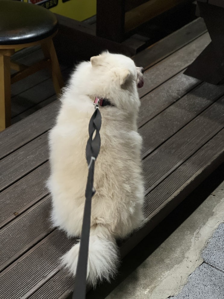 밤산책 도장깨기
