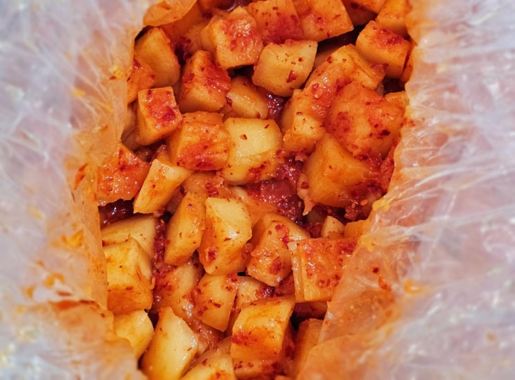  아삭아삭 잘 익은 깍두기 김치 최후의 반찬 대장금 깍두기 구입하기