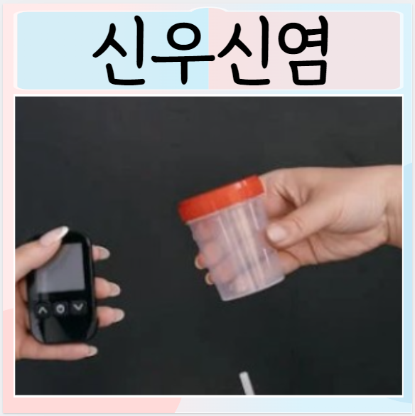  신우신염 원인 증상 진단 치료와 예방법은