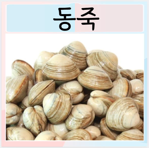  동죽이란 효능 장점 효과