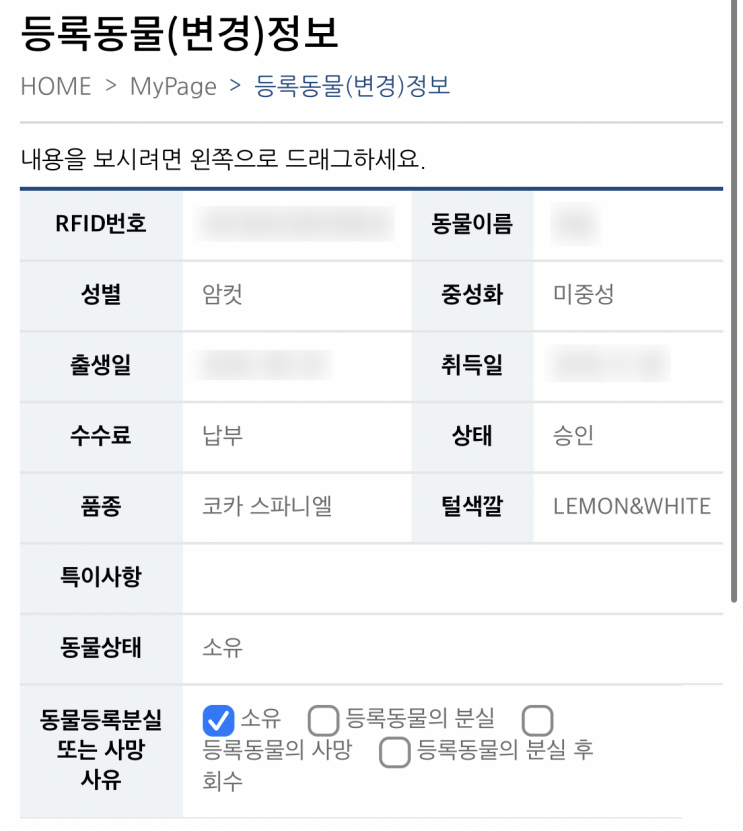  광주시, 반려동물 광견병 예방접종 지원 소식 & 내 경험 공유!