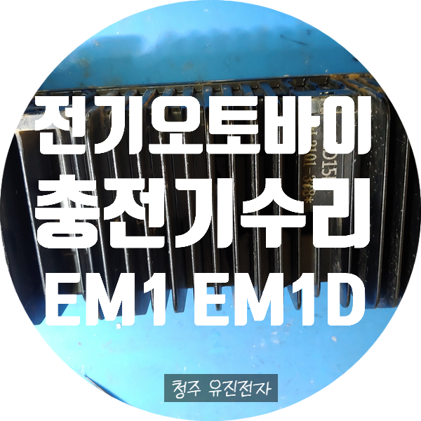 전기오토바이 충전기 수리 / 대림 디앤에이 모터스 EM-1D / EM-1 충전기 수리 내장형 충전기 OBC 수리