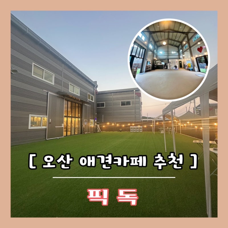 사진 5
