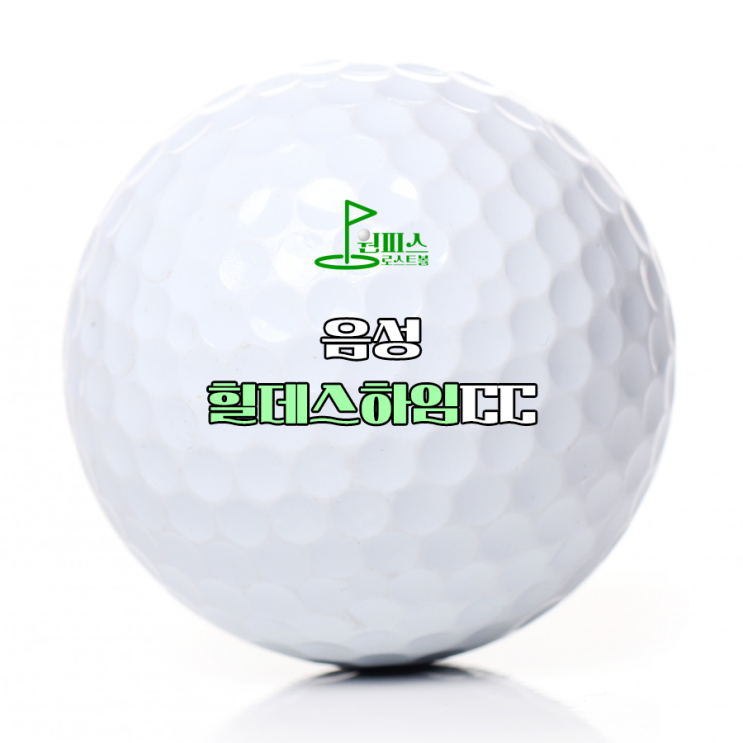  음성 힐데스하임CC