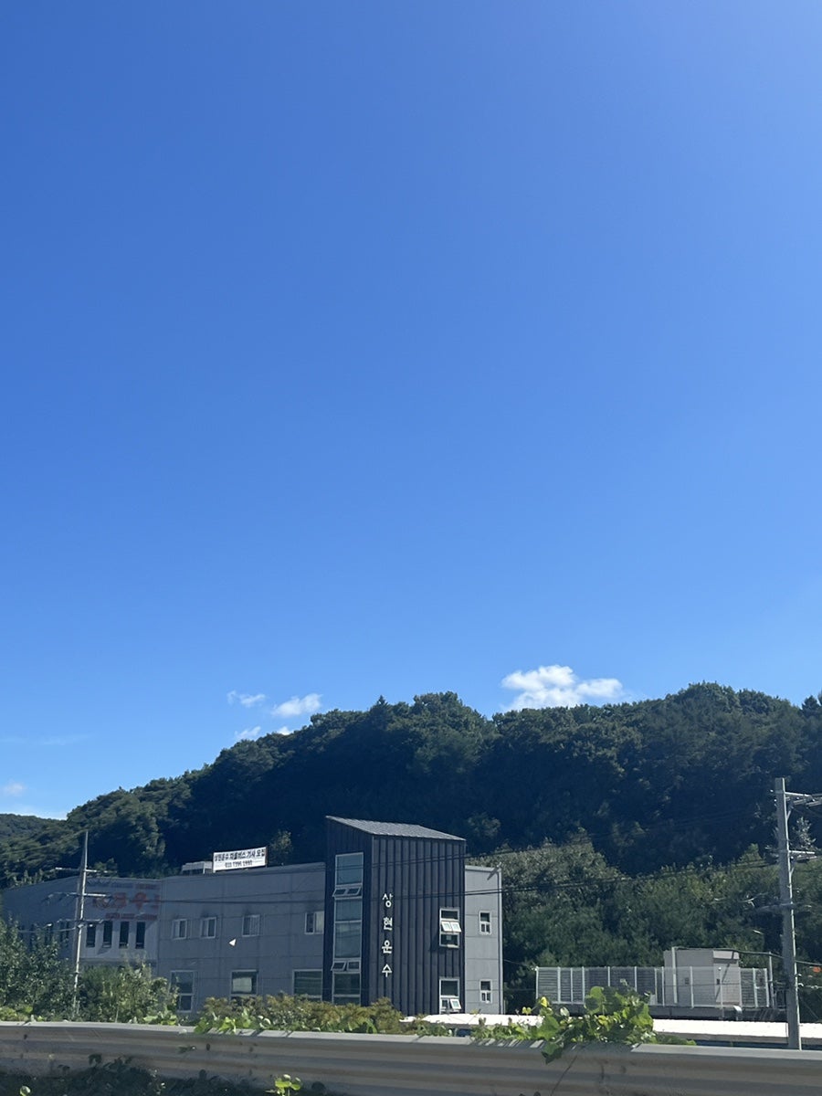 레몬하우스 사진 2