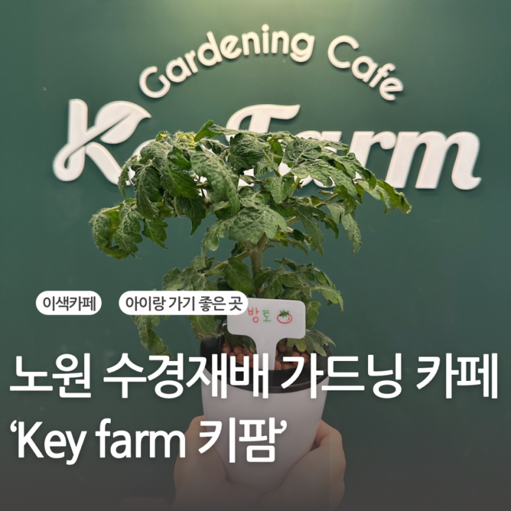  노원 이색 데이트 추천 가드닝카페 키팜