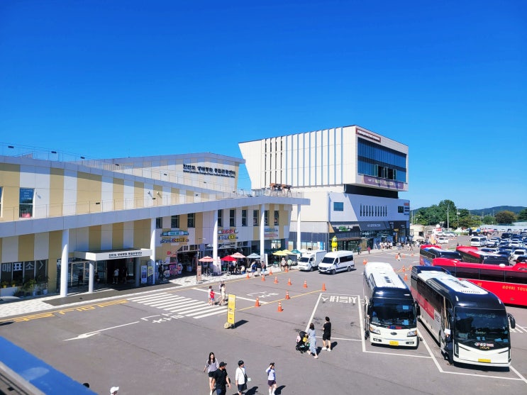  파주 임진각 주차장 평화누리공원 (DMZ 곤돌라 이용요금)