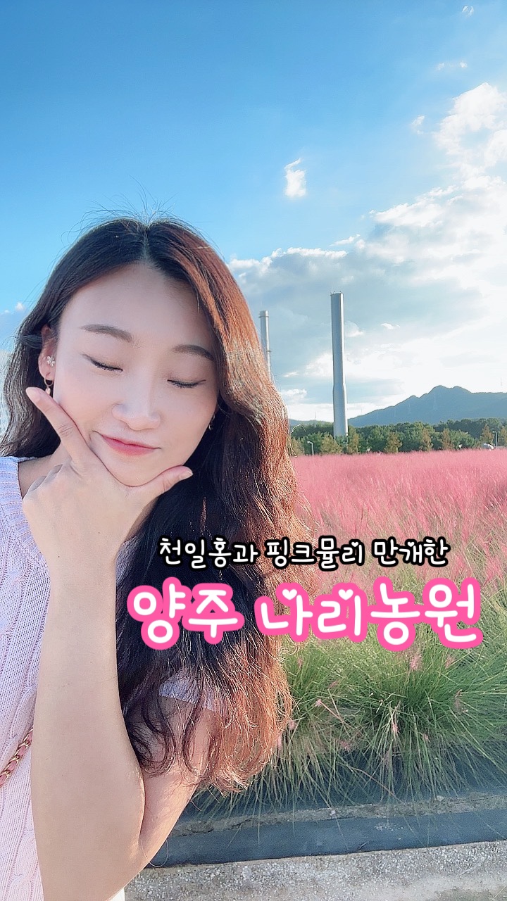  양주 나리농원_천일홍과 핑크뮬리 가득한 가을가을한 공원