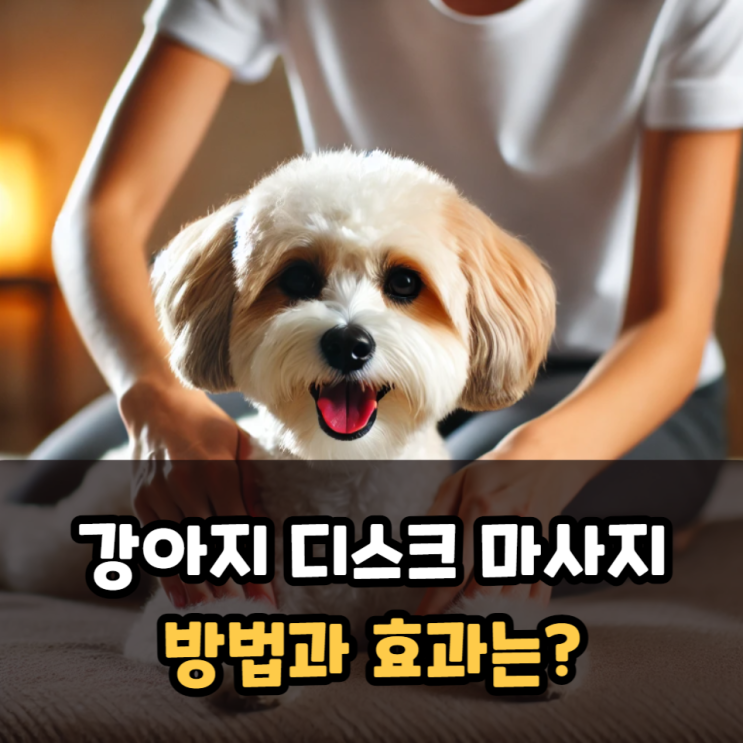  강아지 디스크 마사지 방법, 효과