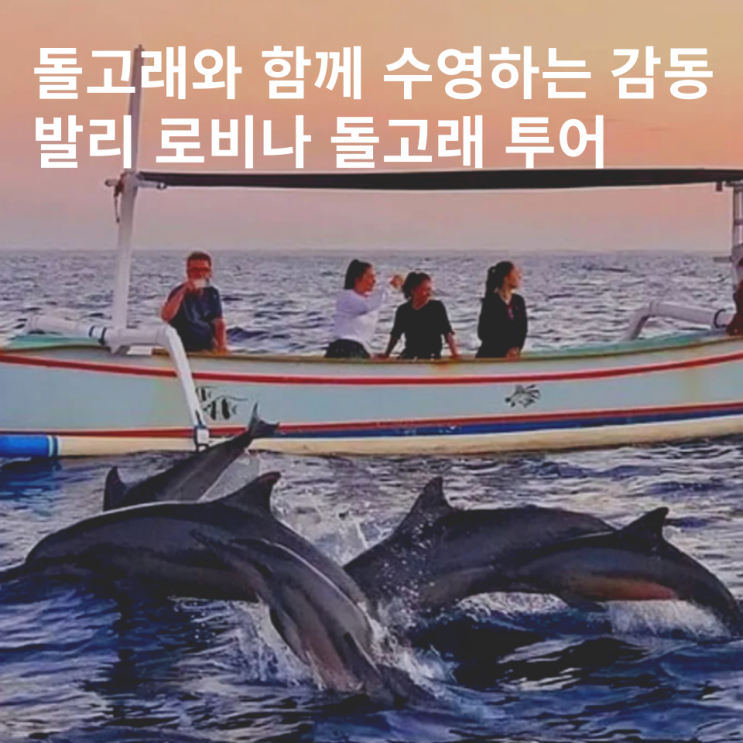  발리 로비나 돌고래 투어 돌핀 스노쿨링 후기 준비물