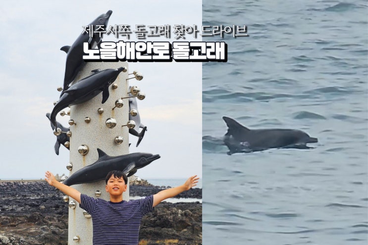  10월에 가기좋은 여행지 제주도 노을해안로 돌고래 스팟 여행지