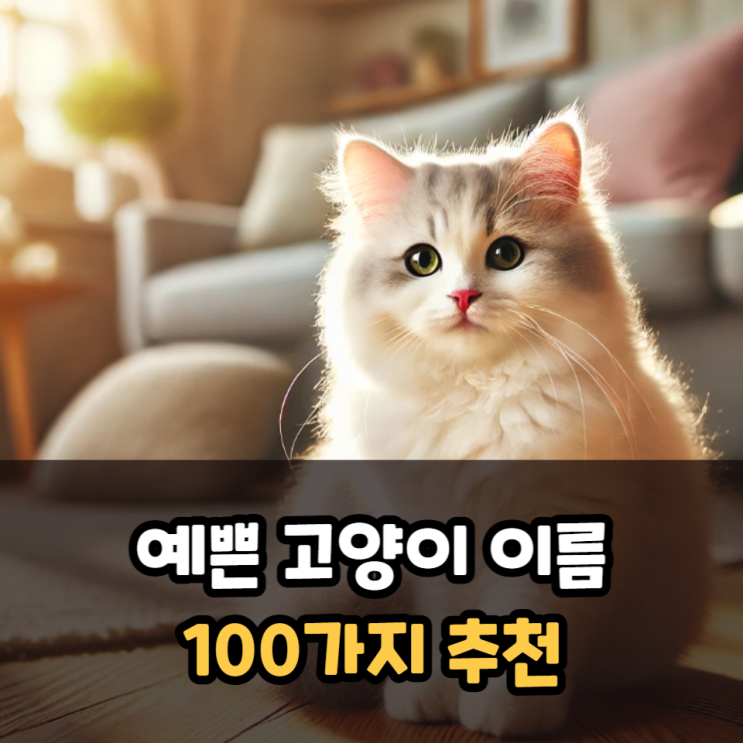  예쁜 고양이 이름 추천 100가지