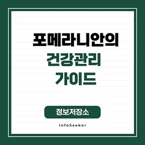  포메라니안의 건강관리 가이드