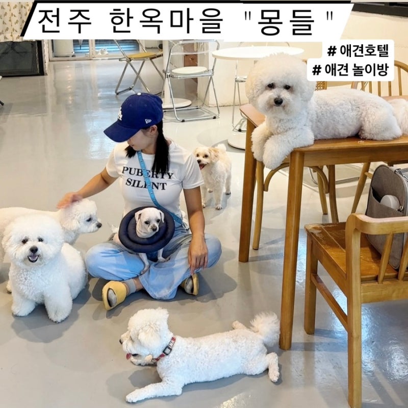 사진 5