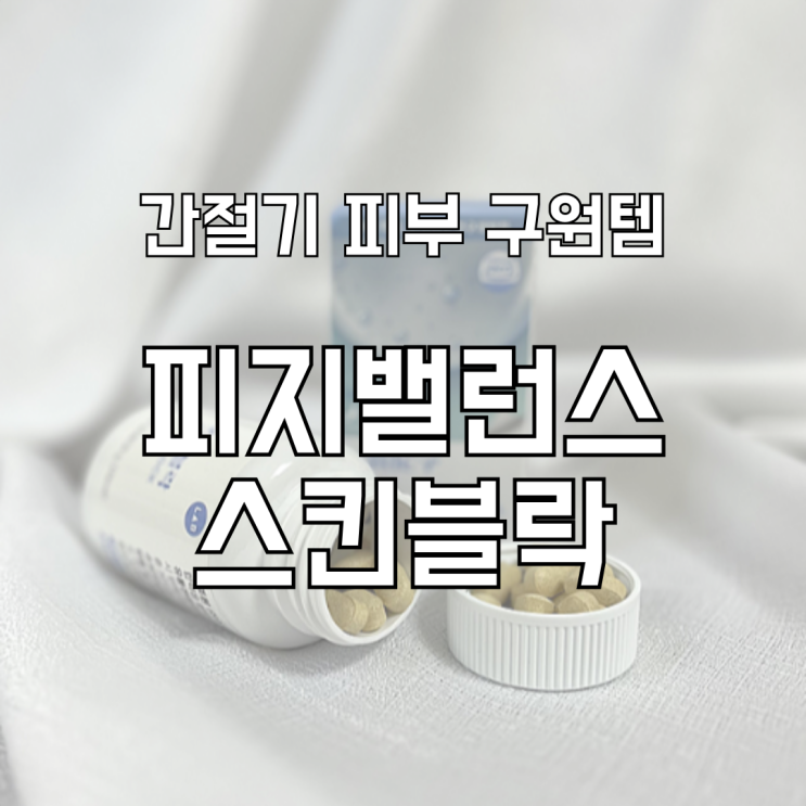  간절기 피부 구원템 랩도리 피지밸런스 스킨블락