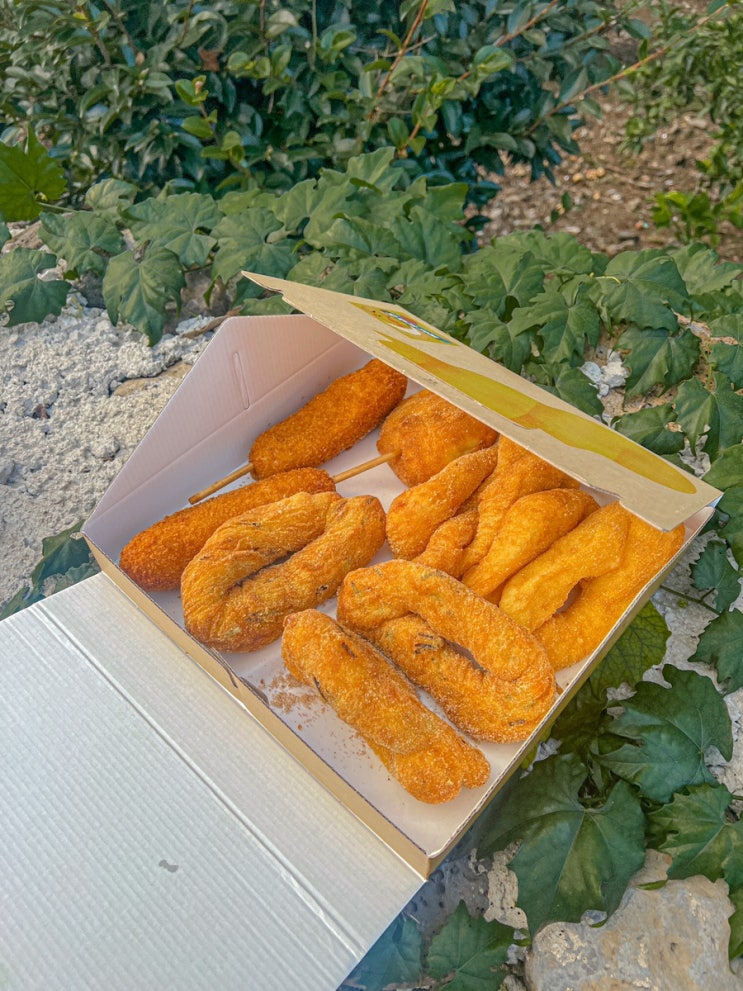  제주도 빵지순례 제주 백한철꽈배기 오픈런 웨이팅 후기