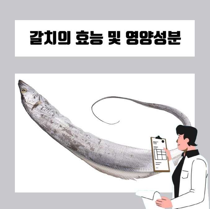  가을 갈치의 효능과 영양성분, 갈치 보관방법