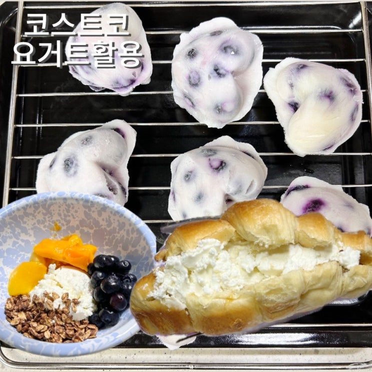  코스트코 요거트 활용 대용량 요거트바크, 그릭요거트 만들어 먹기