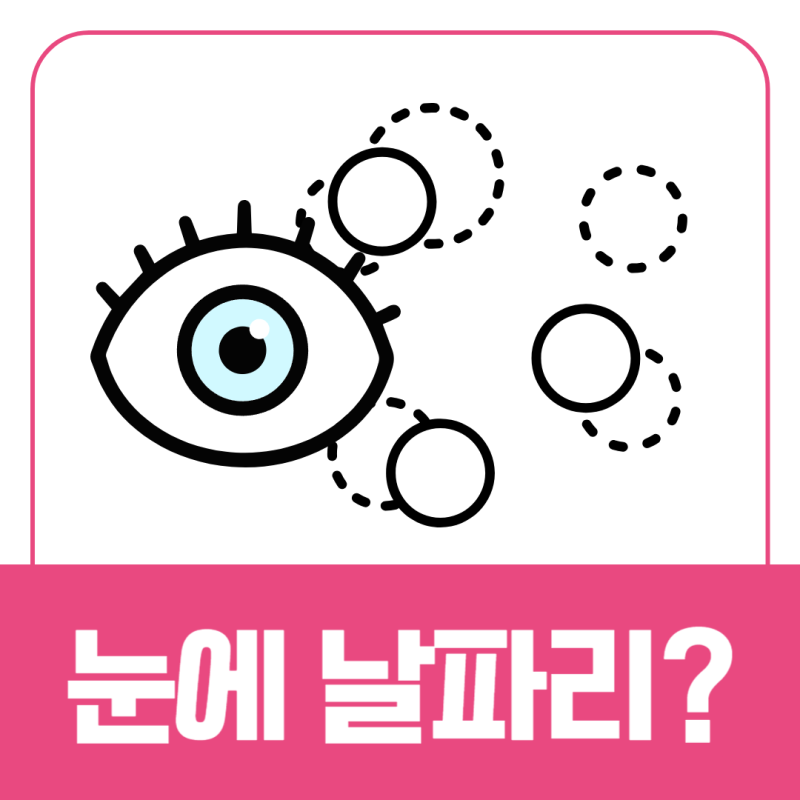 눈앞에 날파리가 비문증 눈 날파리증 원인 보험 알아봐요
