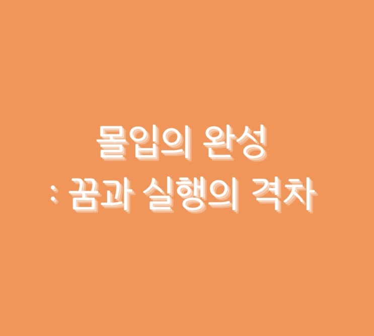  몰입의 완성 : 꿈과 실행의 격차