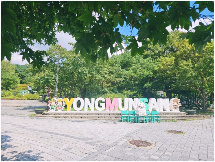  용문산관광단지 양평친환경농업박물관_ 용문사 주차요금 경기도 아이와 가볼 만한 곳 체험프로그램