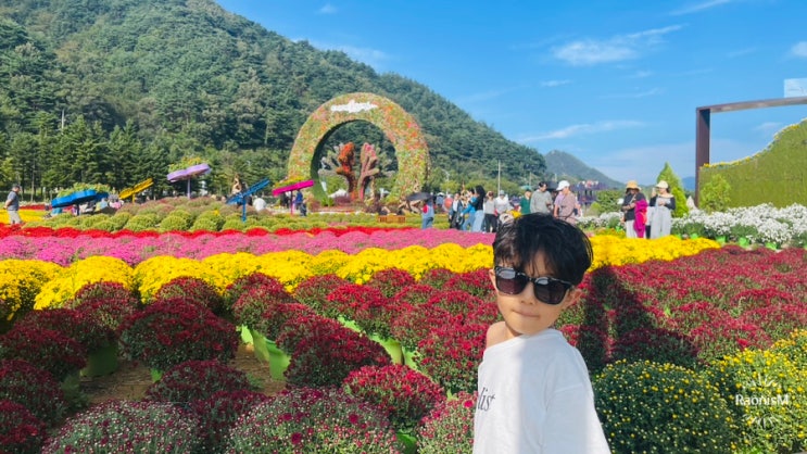 강원도 인제 꽃축제 꽃길만걷자