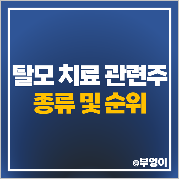 탈모 치료 관련주 인스코비 대웅제약 주가 스피어파워 주식 탈모 치료 관련주 인스코비 대웅제약 주가 스피어파워 주식