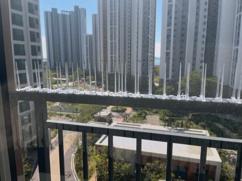 아파트 비둘기퇴치 셀프시공 버드스파이크