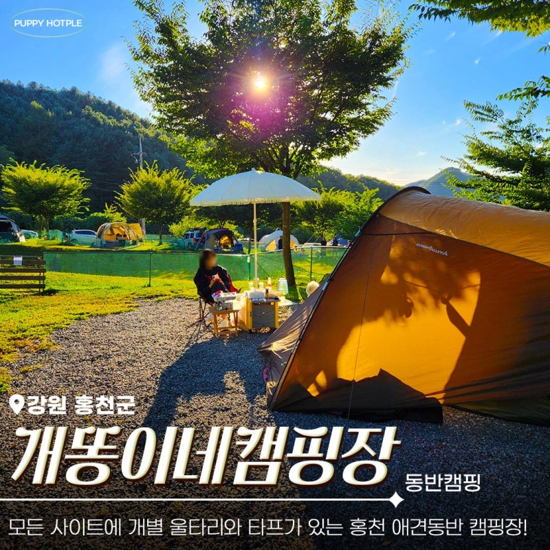사진 3