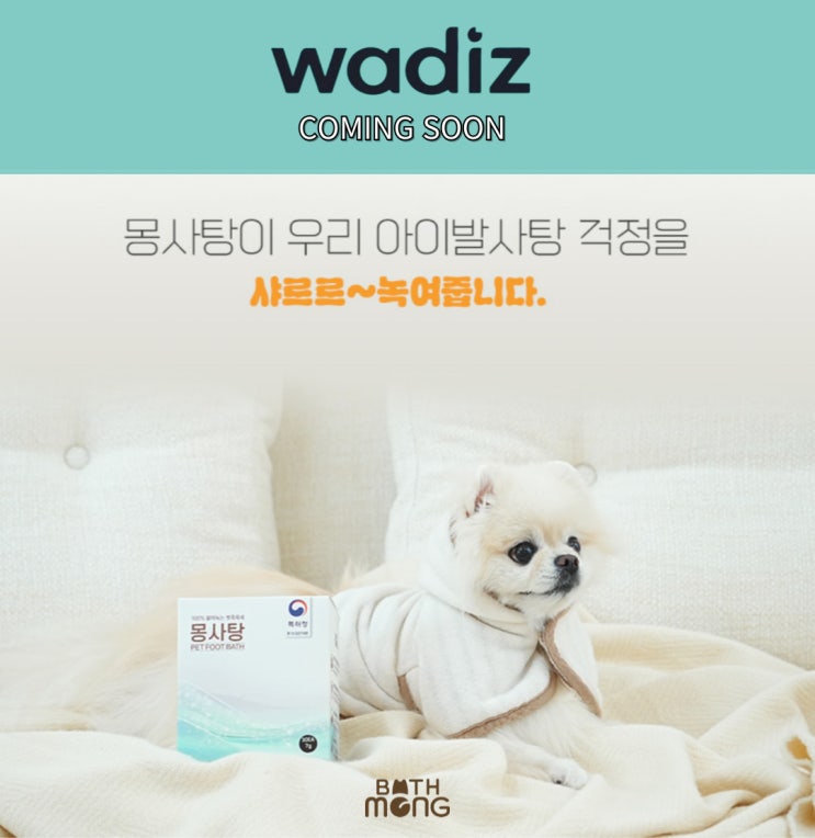  바스몽 X 와디즈 펀딩 예고 오픈!!