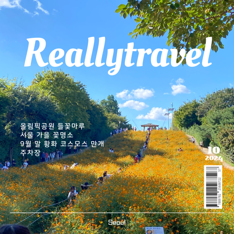 올림픽공원 들꽃마루 황화 코스모스 만개했어요 서울 꽃구경 명소 가을 나들이 가는길 주차....