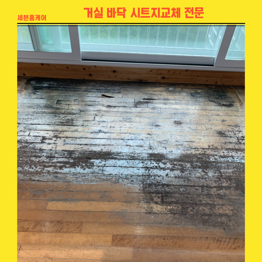 거실 바닥 시트지교체 마루시트지 시공전문
