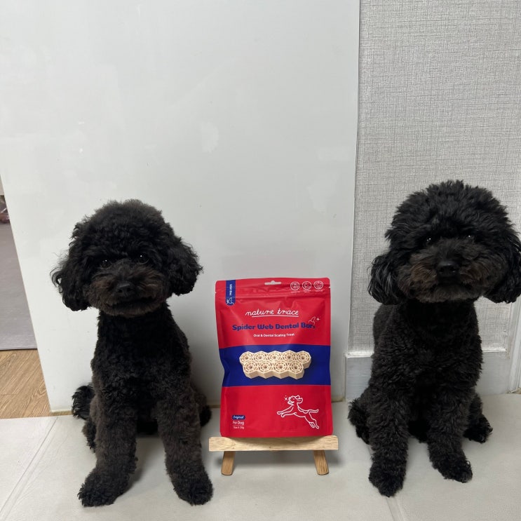  강아지 치석제거껌 네이처트레이스 스파이더웹 덴탈바