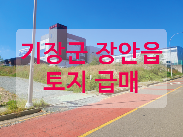  [급매] 부산 기장군 장안읍 반룡일반산업단지 내 지원시설용지 토지 매매