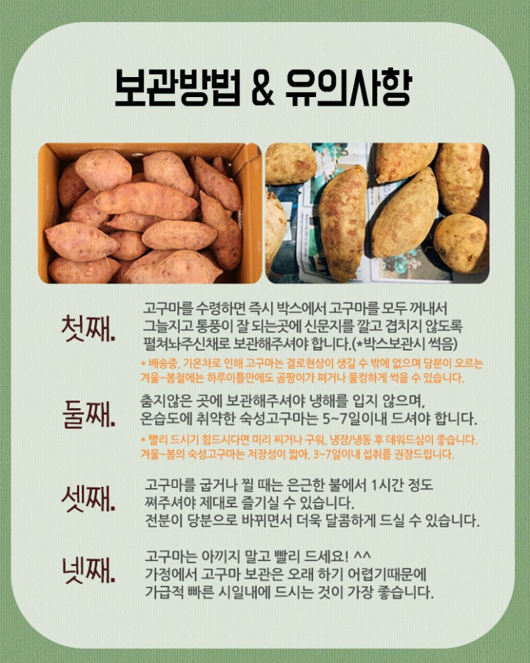 고구마 맛있게 오래 보관하는 방법