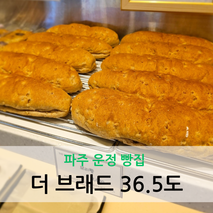  파주 운정 빵집 건강하고 맛있는 빵이 가득한 더 브래드 36.5도 운정점