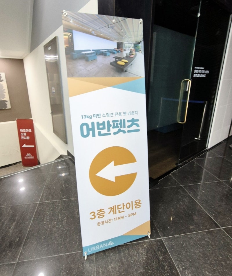 사진 2