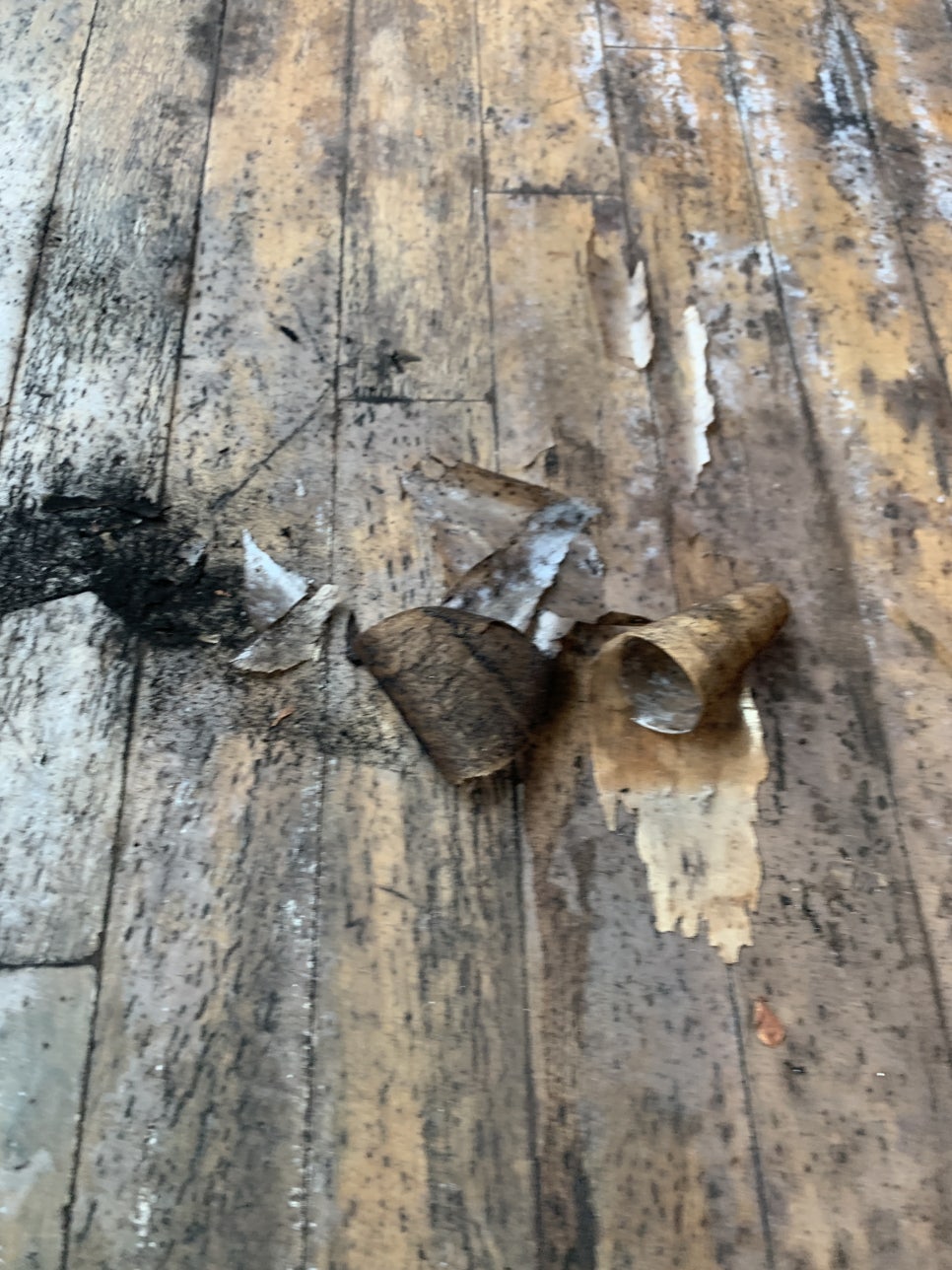 거실 바닥 시트지교체 마루시트지 시공전문