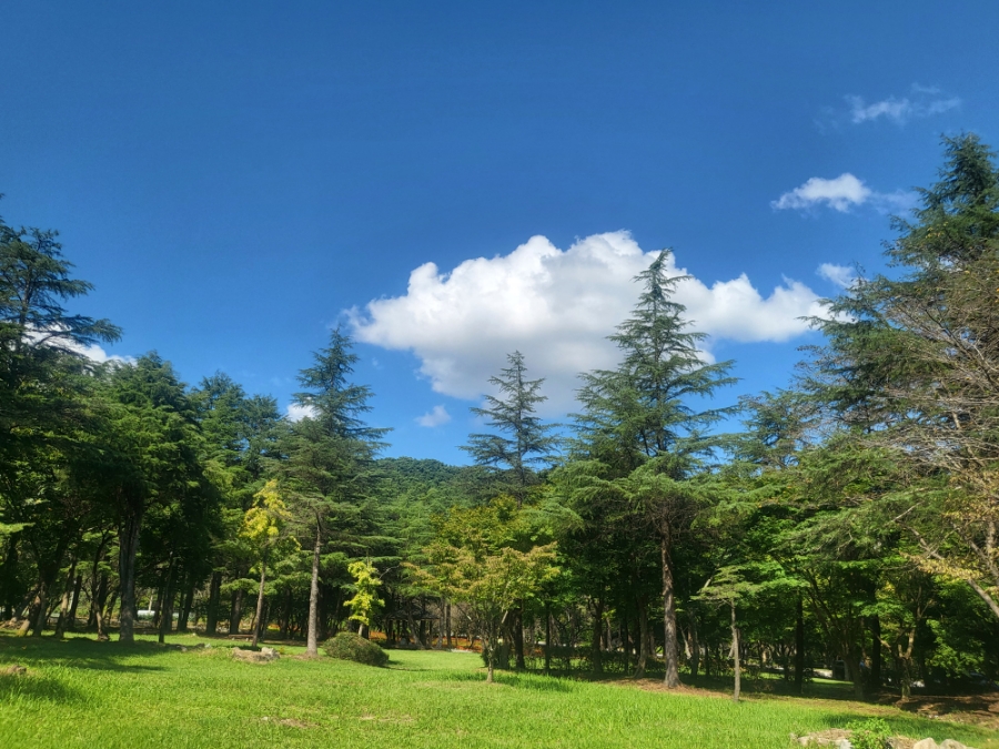내장산수목원 사진 5