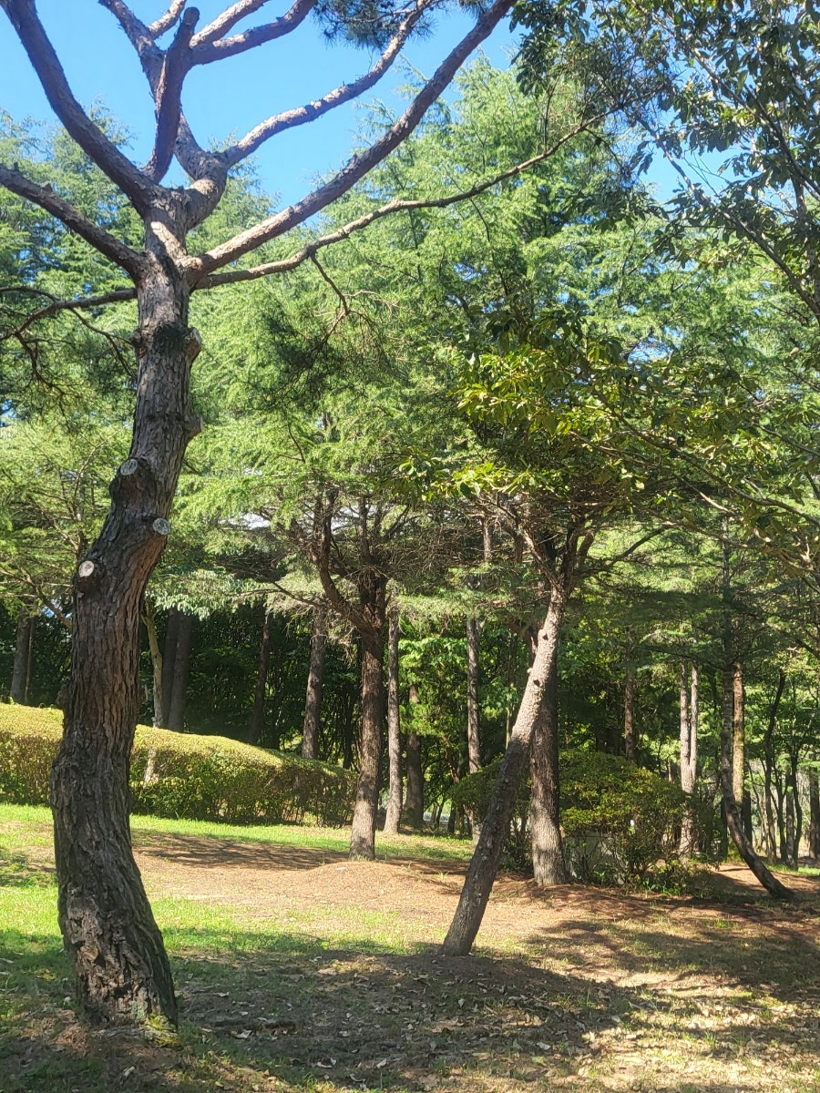 내장산수목원 사진 3