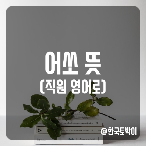 어쏘 변호사 뜻, Associate 뜻
