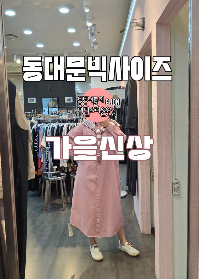 동대문여성 빅 사이즈 두타빅사이즈 지존 가을 신상 가을 원피스 가을 캐주얼룩 빅 사이즈 ....