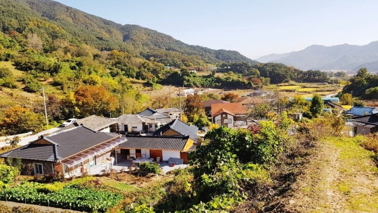  10월의 세무일지[부가가치세 예정신고, 2025최저임금 10,030원]