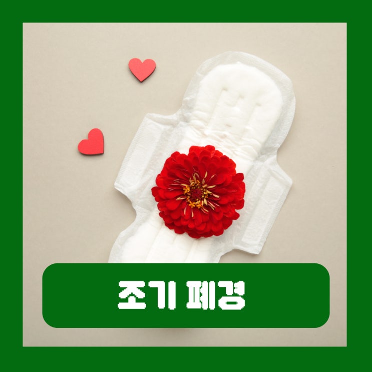  조기 폐경 초기증상 생리 나이 호르몬 검사 진단기준 FSH 수치